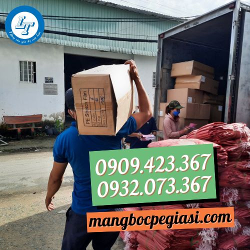 Màng bọc pe giao hàng nhanh và miễn ship TPHCM Màng bọc pe giao hàng nhanh và miễn ship TPHCM