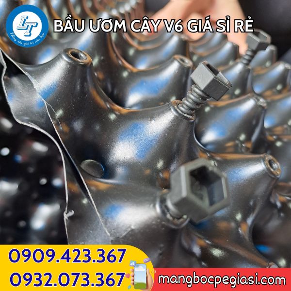Bầu ươm cây V6 kèm ốc vít Bầu ươm cây V6