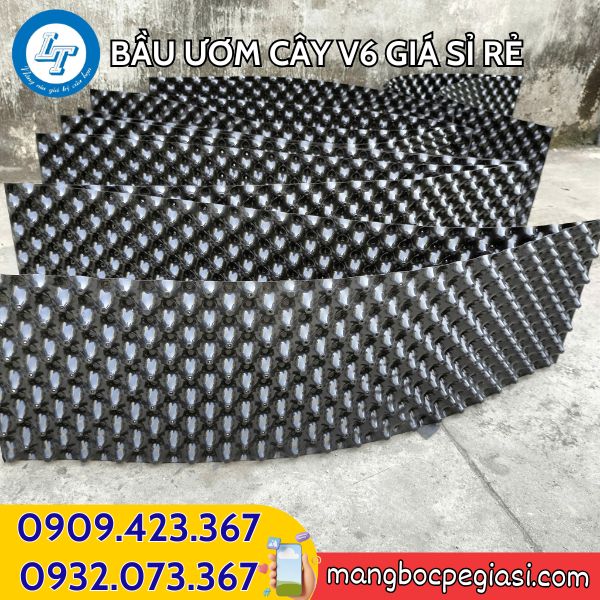 Bầu ươm cây V6 giá sỉ rẻ Bầu ươm cây V6