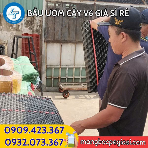 Bầu ươm cây V6 giao hàng tận nơi Bầu ươm cây V6