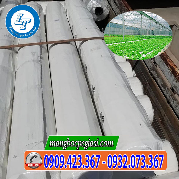 Màng nilon nhà kinh israel Màng nilon nhà kinh israel