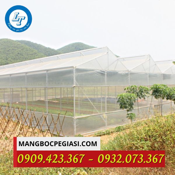Mô hình nilon nhà kính Mô hình nilon nhà kính