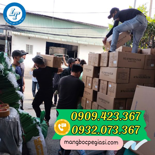 Lê Thanh - cung cấp Màng pe màu đen giá rẻ Màng pe màu đen