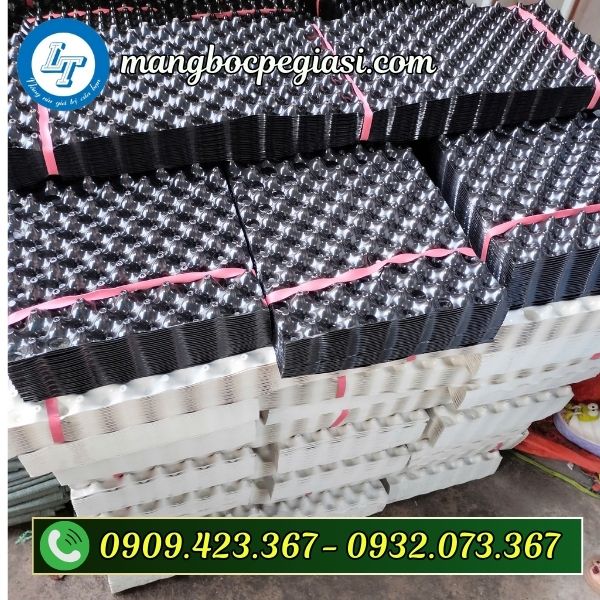 Bầu ươm cây thông minh Bầu ươm cây thông minh