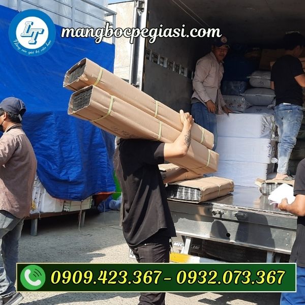 Giao hàng toàn quốc Bầu ươm cây thông minh