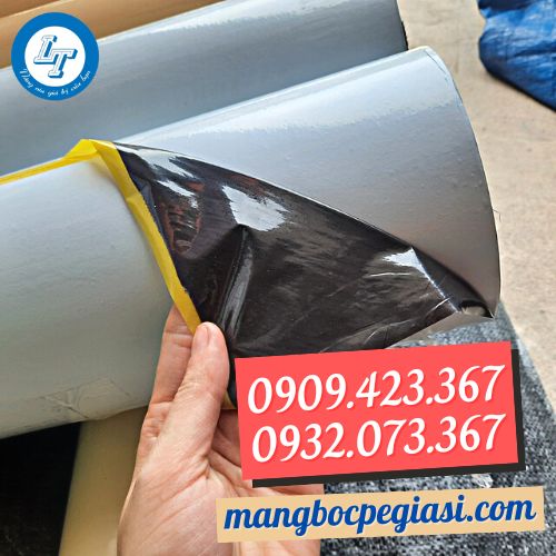 màng bảo vệ trắng đen màng bảo vệ trắng đen