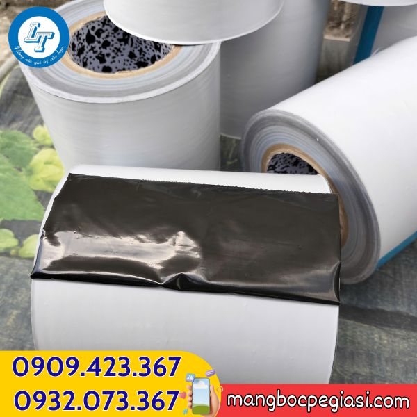 Màng chống trầy bề mặt giá xưởng Màng chống trầy bề mặt giá xưởng