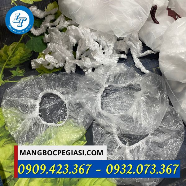 Màng bọc thực phẩm túi gấu Màng bọc thực phẩm túi gấu