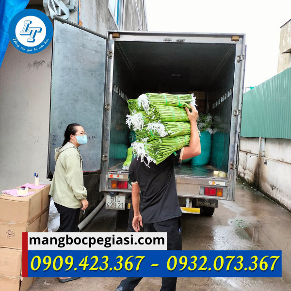 Giao hàng nhanh chóng Túi bầu ươm cây