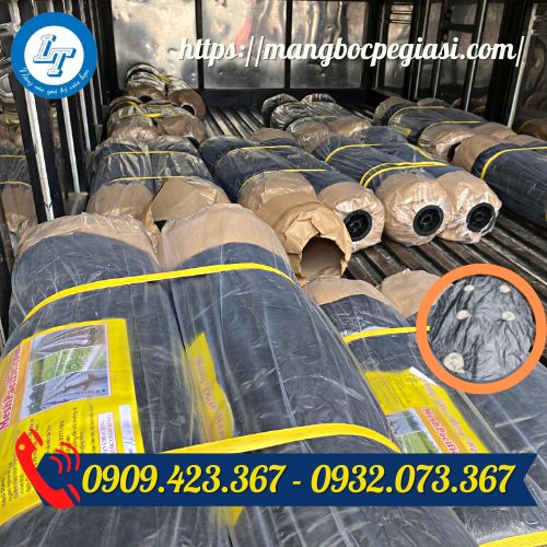 Màng phủ nông nghiệp đục lỗ
