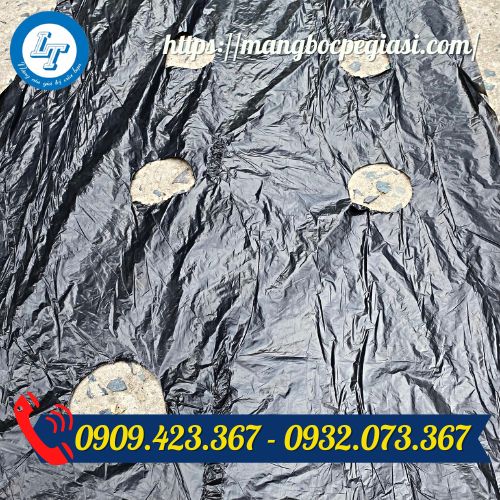 Màng phủ nông nghiệp đục lỗ Màng phủ nông nghiệp đục lỗ