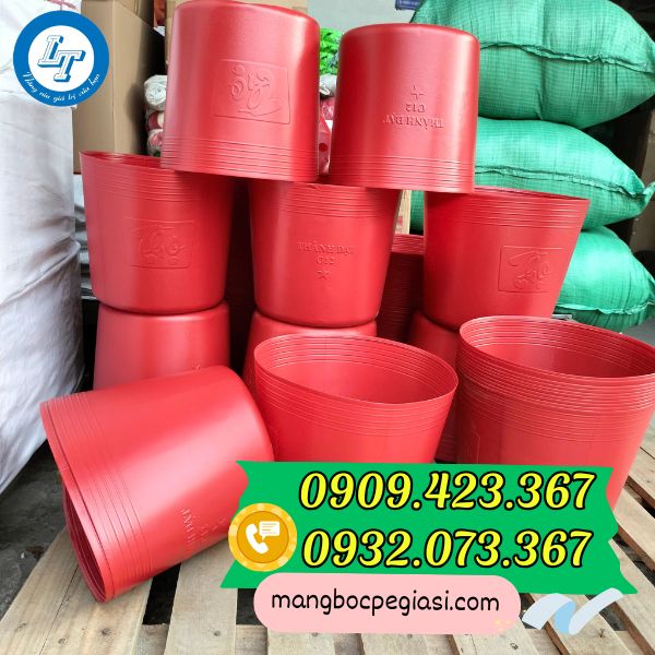 Chậu nhựa trồng cây C12 giá sỉ Chậu nhựa trồng cây C12