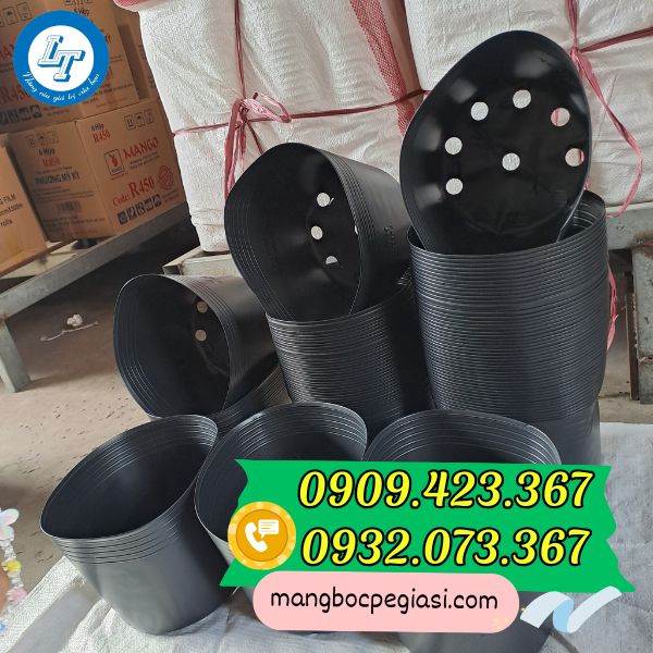 Chậu nhựa trồng cây tết giá sỉ Chậu nhựa trồng cây tết