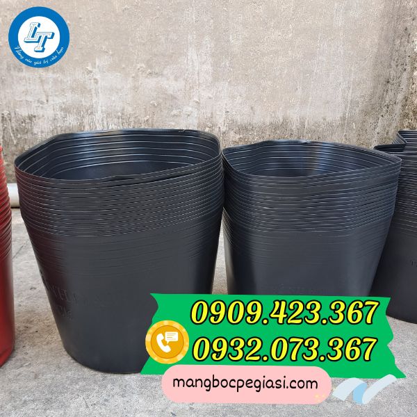 Chậu nhựa trồng cây tết Chậu nhựa trồng cây tết