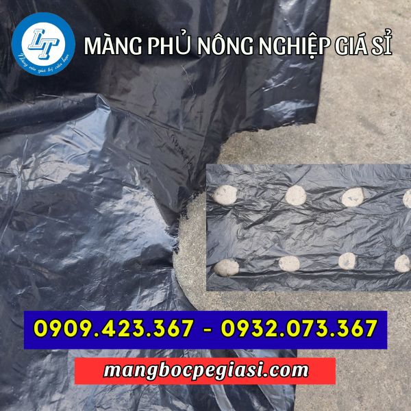 Màng phủ nông nghiệp giá rẻ Màng phủ nông nghiệp đục lỗ