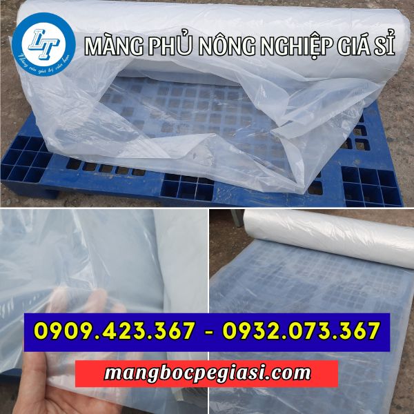Màng phủ nông nghiệp màu trắng Màng phủ nông nghiệp màu trắng