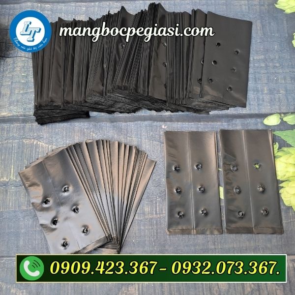 Túi bầu ươm cây