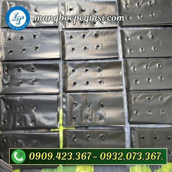 Túi bầu ươm cây sẵn kho Túi bầu ươm cây