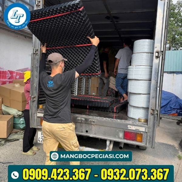 Bầu ươm giá sỉ, giao hàng tận nơi Bầu ươm giá sỉ, giao hàng tận nơi