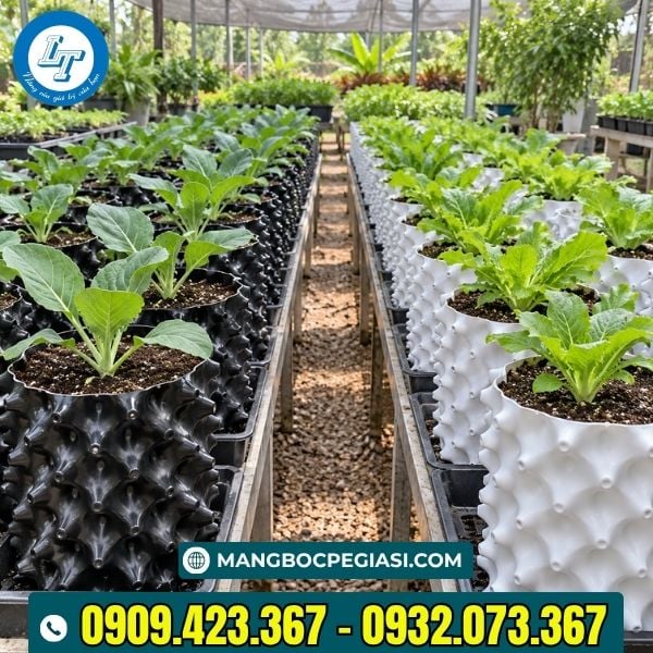 Bầu ươm cây tươi tốt Bầu ươm cây tươi tốt