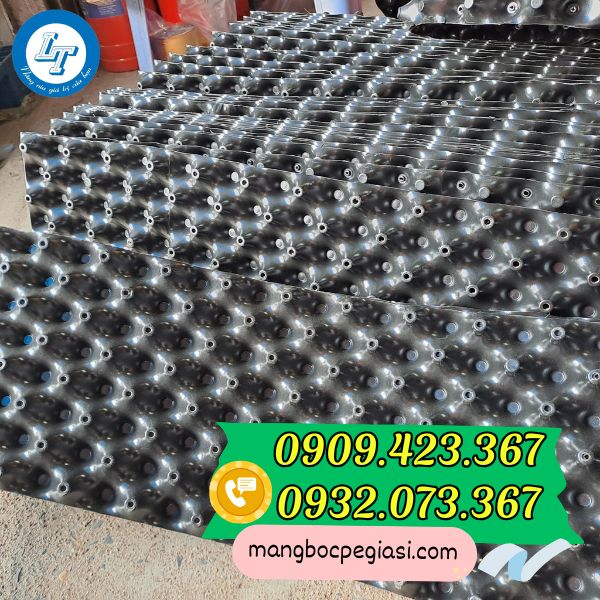 Bầu ươm cây thông minh giá sỉ Bầu ươm cây thông minh