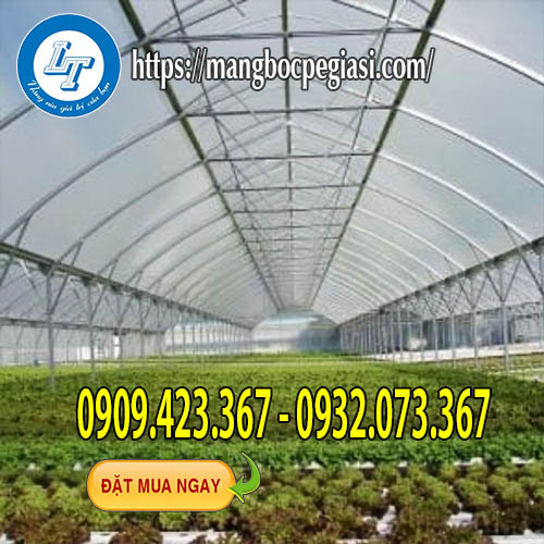 Mô hình nhà kính trồng rau Mô hình nhà kính trồng rau