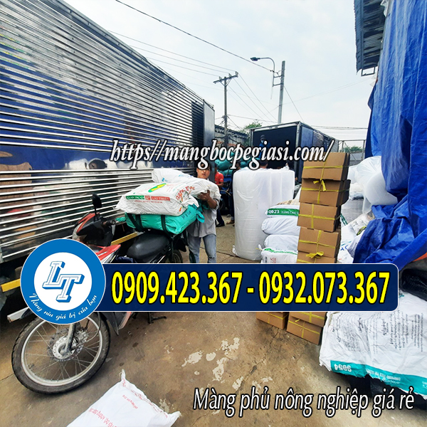 Lên hàng tại kho công ty Lê Thanh Lên hàng tại kho công ty Lê Thanh