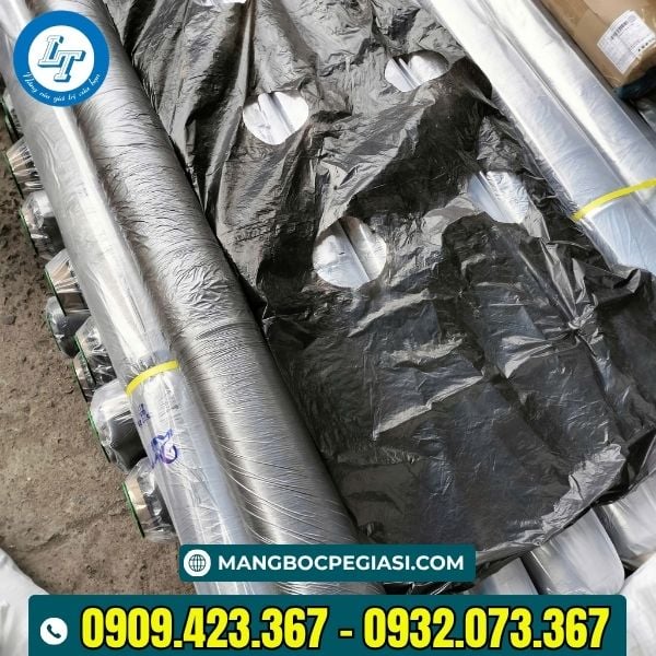 Màng phủ đục lỗ sẵn kho giá sỉ rẻ Màng phủ đục lỗ sẵn kho