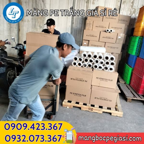 Giao hàng màng PE Sỉ màng PE nhiều kích cỡ