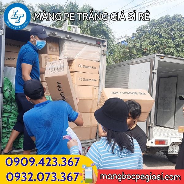 Giao màng PE Sỉ màng PE nhiều kích cỡ