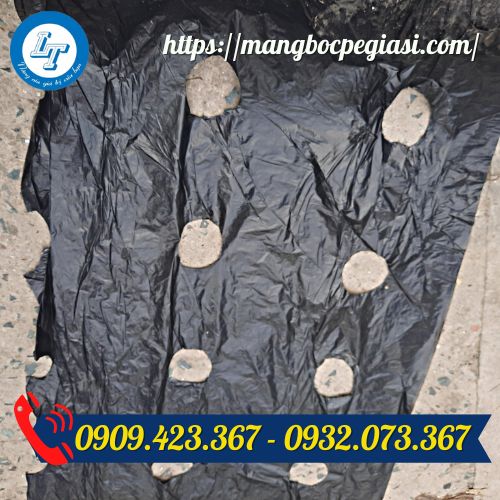 Màng phủ nông nghiệp đục lỗ