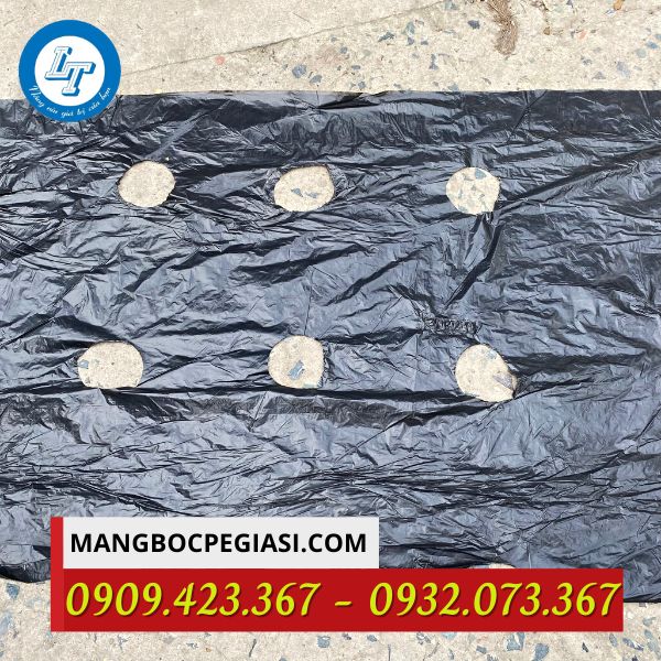 Màng phủ nông nghiệp đục lỗ