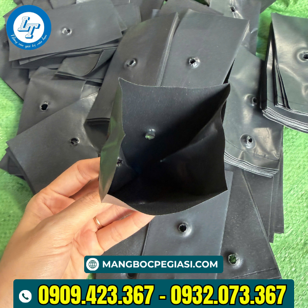 Bầu ươm cây siêu bền Bầu ươm cây nhiều size