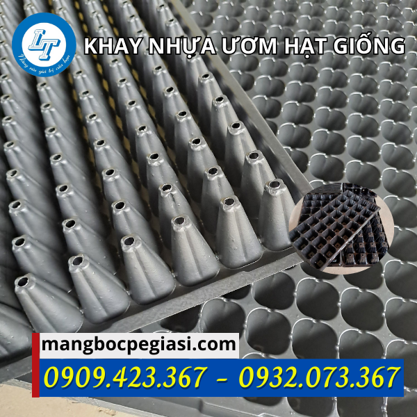 Khay ươm hạt giống 200 lỗ Khay ươm hạt giống 200 lỗ