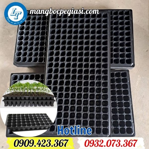 bán sỉ lẻ khay ươm hạt giống nhựa đen cứng giá sỉ rẻ cho đại lý bán sỉ lẻ khay ươm hạt giống nhựa đen cứng giá sỉ rẻ cho đại lý