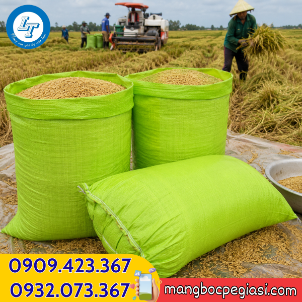 Bao tải đóng lúa mùa gặt Bao tải dứa xanh giá sỉ