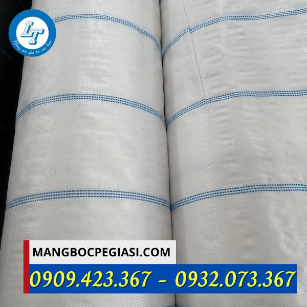 Bạt phủ chống cỏ màu trắng Bạt phủ chống cỏ màu trắng