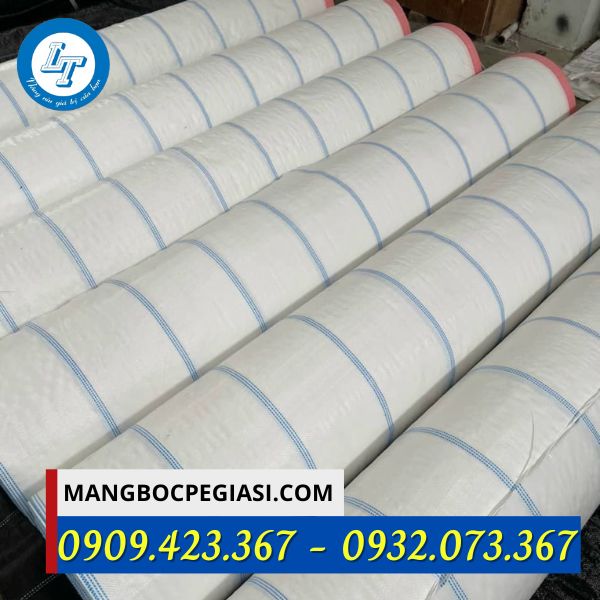 Bạt phủ chống cỏ màu trắng giá rẻ Bạt phủ chống cỏ màu trắng giá rẻ