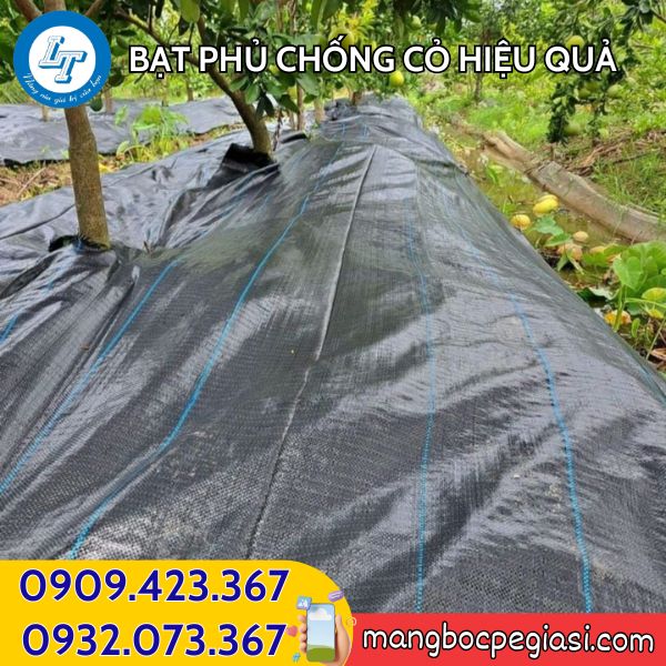 Bạt phủ cỏ hiệu quả Kho cung cấp bạt phủ chống cỏ giá rẻ