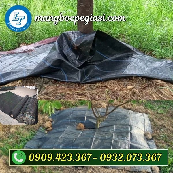 Bạt phủ cỏ màu đen giá sỉ