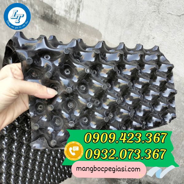 Bầu ươm cây thông minh Bầu ươm cây thông minh kèm ốc vít