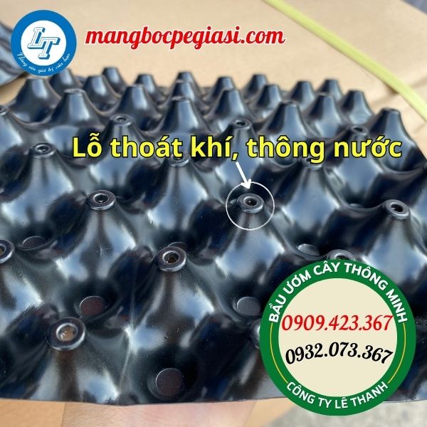 mua bầu ươm cây giống thông minh ở đâu giá rẻ hcm mua bầu ươm cây giống thông minh ở đâu giá rẻ hcm