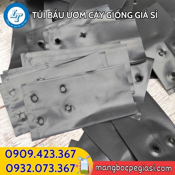 Túi bầu ươm cây giá tốt tại Lê Thanh Túi bầu ươm cây giá tốt