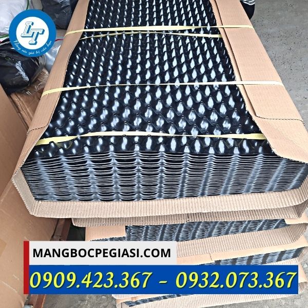 Bầu ươm cây cảnh giá sỉ Bầu ươm cây cảnh giá sỉ