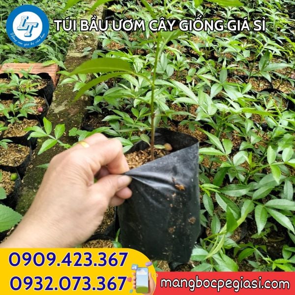 Túi bầu ươm cây giá tốt Túi bầu ươm cây giá tốt