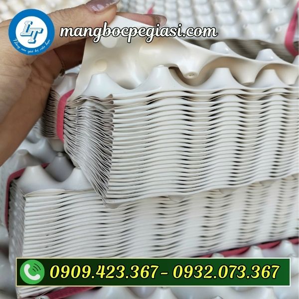 Bầu ươm v6 sẵn kho giá sỉ Bầu ươm cây thông minh