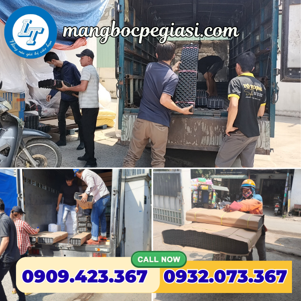 Giao bầu ươm cây cho đại lý Giao bầu ươm cây cho đại lý