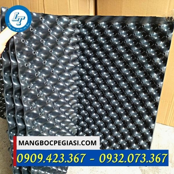 Bầu ươm cây cảnh Bầu ươm cây cảnh