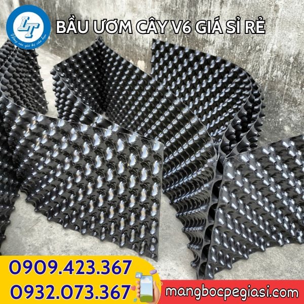 Bầu ươm cây V6 giá sỉ rẻ HCM Bầu ươm cây V6