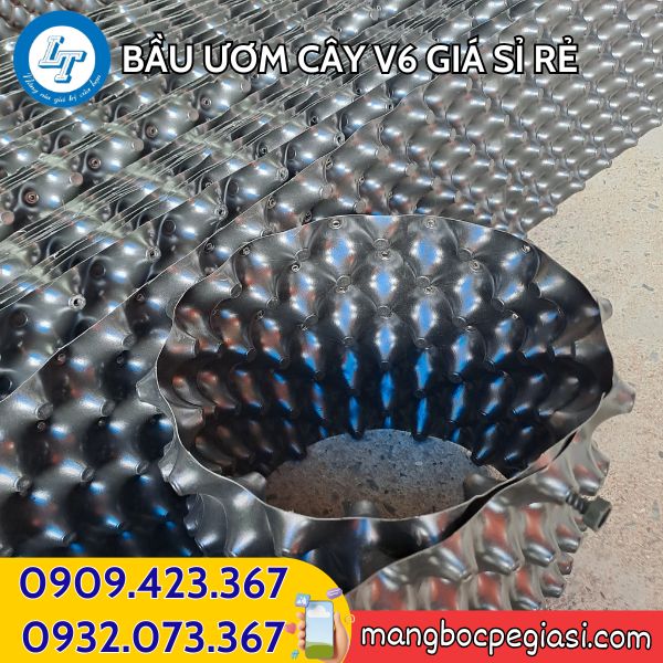 Bầu ươm cây V6 giá sỉ rẻ Bầu ươm cây V6